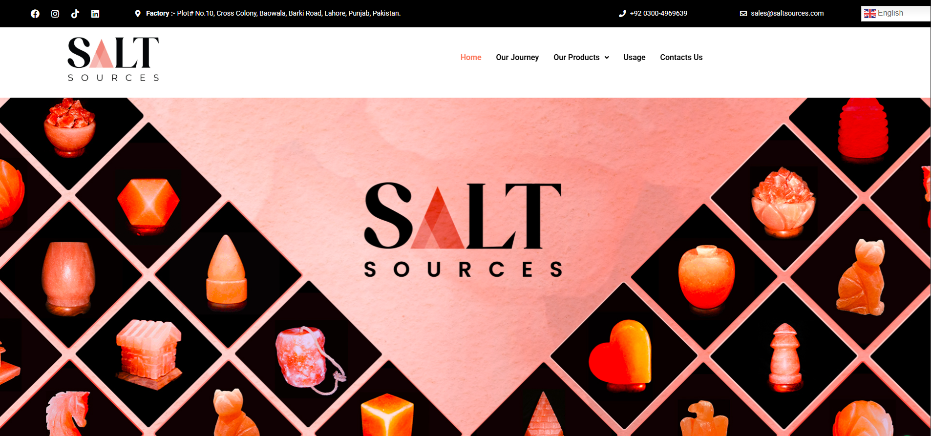 SaltSources website preview